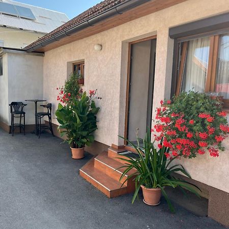Apartman Anna Ogulin Exterior foto